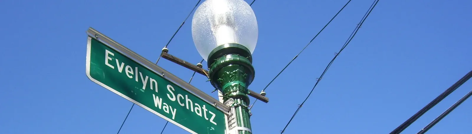 The green Evelyn Schatz Way street sign on a lamp post at Chapel and Howe, its globe lamp above it against a clear blue sky
